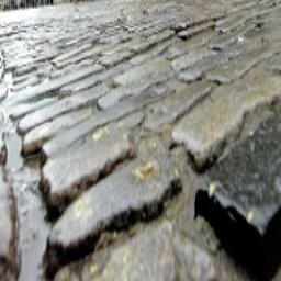 We are the collective setts of Guildford High Street. We will enjoy your trip.

NOT COBBLES!