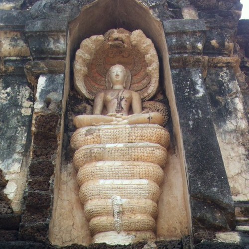 cabi72's profile picture. 