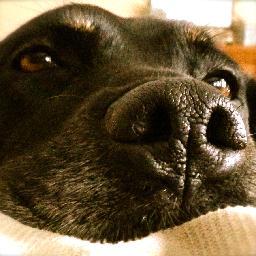 rebelclay's profile picture. 