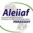 aleiiafPy's profile image