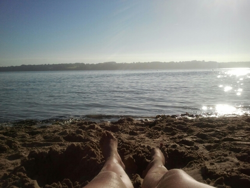 AngelleCor's profile picture. 