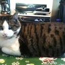 Wanda Boyce - @mema42753 - Twitter