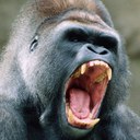 Eric Finney - @EricFinney1 - Twitter