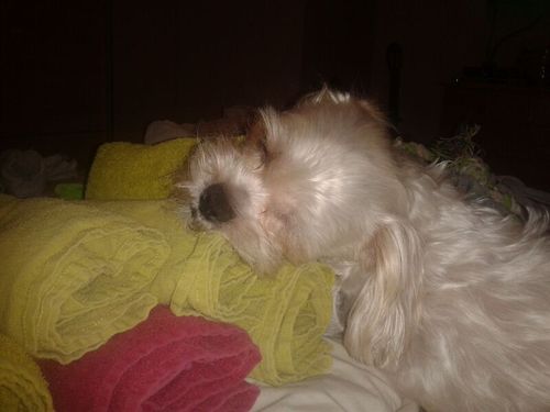 pimbisselink's profile picture. 