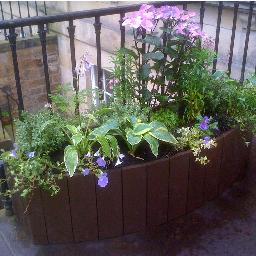 We are dedicated to turning empty city spaces into Small Green Spaces, using locally and ethically sourced products to create long lasting mini-gardens.