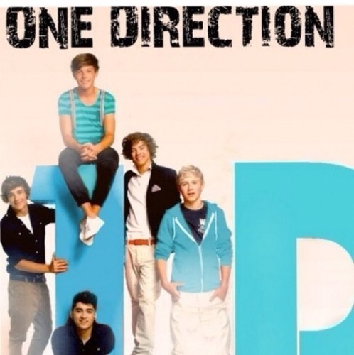 I'm a Directioner!
And proud to tell it to the world. Are you?! :)x