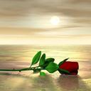 lucy aviles garcia - @lucyavilesgarci - Twitter