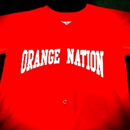 Orange Nation Young Adults looks to Train, Deploy and Support chuches and young adults through the transformational grace of Christ!