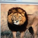 nancy cabello - @naluvi89c - Twitter