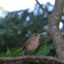 Al Gibb - @Mzookie - Twitter