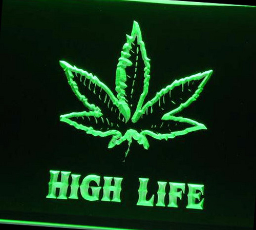 DatGreenHouse's profile picture. 