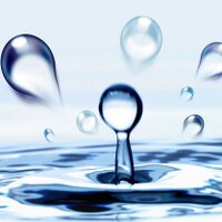 Elias (@elirasta009) 's Twitter Profile Photo