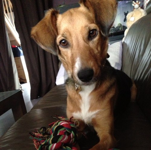 MeTinkie's profile picture. Mijn bijnaam is Tinkie, ik werk in het uza en als zelfstandige verpleegster. Ik heb een tof hondje, Nette. Hobby's zijn reizen, films en series kijken.