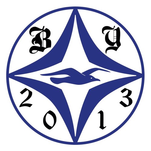 Brighton_Youth's profile picture. Aiming for the best support we could possibly have #bhafc