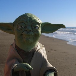 Wisdom, I will teach you. Much to learn, you all have.