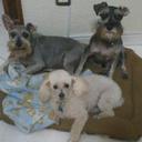 Marilu Diaz B - @mariludiazb - Twitter