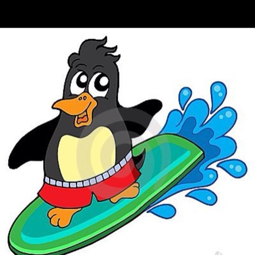 SurfingPenquin Profile Picture