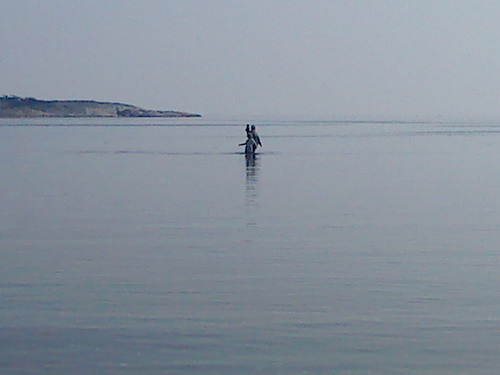 Fredimaster02's profile picture. 