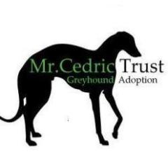 MrCedricTrust's profile picture. A small, non-profit organisation dedicated to the rescue & re-homing of Greyhounds & Lurchers. *Providing a nurturing safe haven until a forever home is found*