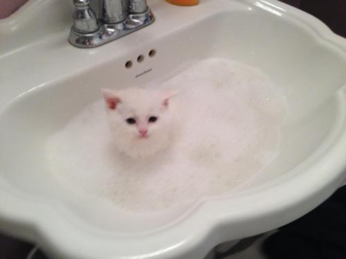 gayleann2's profile picture. Married to my best friend, mom to the most amazing kids ♥