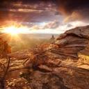 Wendy Gall - @gallm259 - Twitter