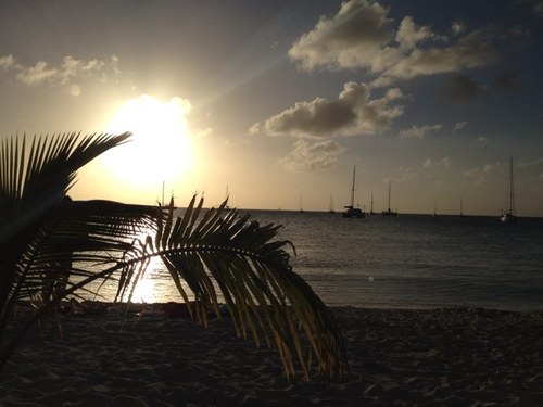 pixiedustwish's profile picture. 