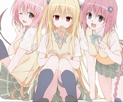 とある高校生のTOLOVEる好きさんのプロフィール画像