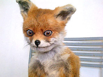 olejigg's profile picture. 