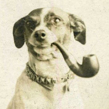 It's me b*tches! The Big Dawg of Badvertising!