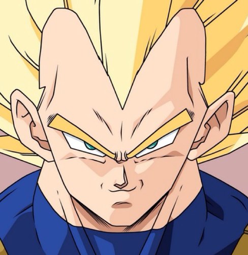 I am the alternate version of the prince of ALL Saiyans, Vegeta! Married to @FutureBulma & father to @FutureSaiyan. I'll blast you into oblivion! #RPaccount