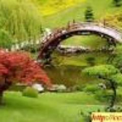 nasra199's profile picture. 