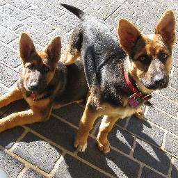 SASHAANDJESS's profile picture. 