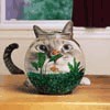 Занимаюсь аквариумистикой.