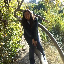 holiwi soy de chile amo a @ justinbieber @matthunter123 @austinmahone & OneDirection me  encanta como cantan soy belieber y hunter , directioner