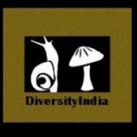 DiversityIndia (@diversityindia) 's Twitter Profile