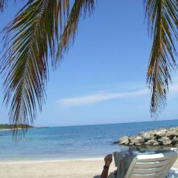 affiliatesuport's profile picture. Websites, seo and ranking that will be the general noise from this page all good things come to those who wait Luckily we are patient