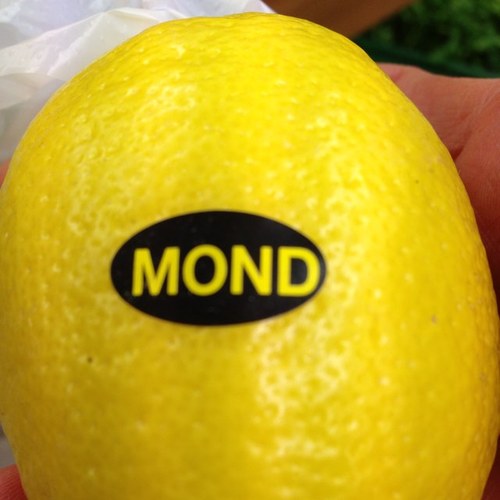 Howtoworkbetter's profile picture. 