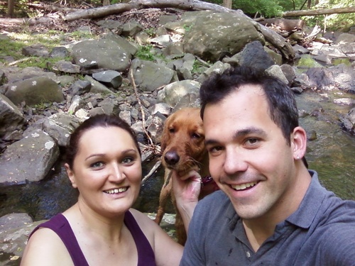 MonsterCone's profile picture. 