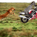 Chris Gallegos - @Southernboy92 - Twitter