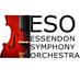 Essendon Symphony (@essendonsymph) Twitter profile photo Essendon Symphony (@essendonsymph) Twitter profile photo