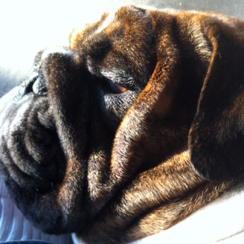 nard515's profile picture. 