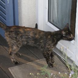 logalgm's profile picture. 