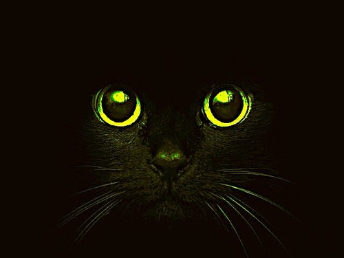 Karen48658094's profile picture. 