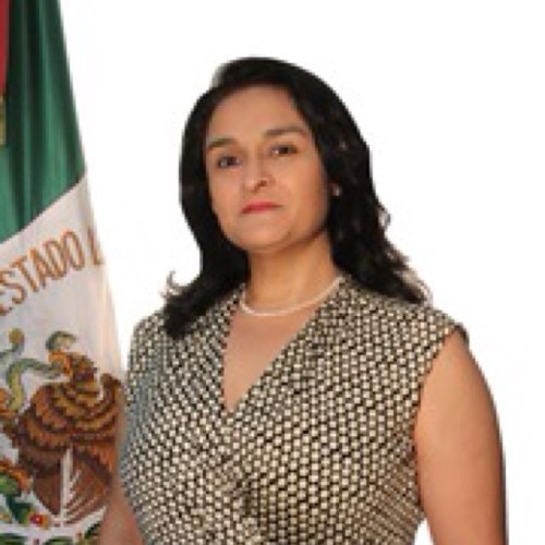 IdolinaCosio_D8's profile picture. Ciudadana, Docente y Diputada Local Distrito 08 De Guadalajara Por El Partido Revolucionario Institucional.