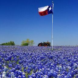 TexBeancounter's profile picture. I am a Christian Conservative Independent.  Love people, outdoor activities, sports, cooking, and reading.