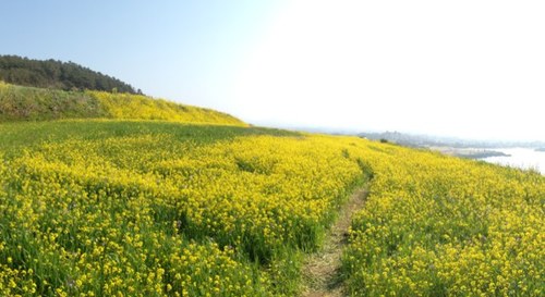 Peace & Love, 정, 활발한 에너지, 우쿨렐레, 예술을 사랑하는 영혼, 문화생산, 창작, 공동체라디오, 인디음악, 물고기자리, 공감, 소통, 감성, storytelling, 여행, 제주, 교류, bridge, 나눔의 미학