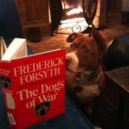 Thinkware1's profile picture. A line of dope t-shirts with smartass slogans to promote reading/critical thinking + support literacy orgs. If we can teach a dog to read, anything's possible.