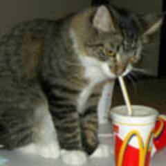 アルファコードCTO/未踏スーパークリエータ/静岡大学 特任教授/静岡理工科大学 客員教授/XRのビジネス&社会活用推進勢/経営したりシステムアーキテクトしたり、講演や授業したり。粛々とXR拡大活動中。個人的に発言しています。