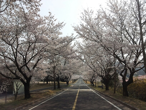 netjob79's profile picture. 