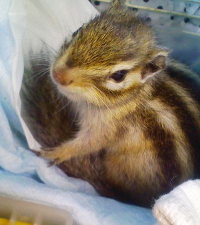 som_dartret's profile picture. 篠田麻里子、ハリーポッター、木村カエラ、ONEOKROCKなどが好きです